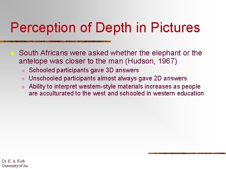 Perception of Depth in Pictures n South Africans were asked whether the elephant or