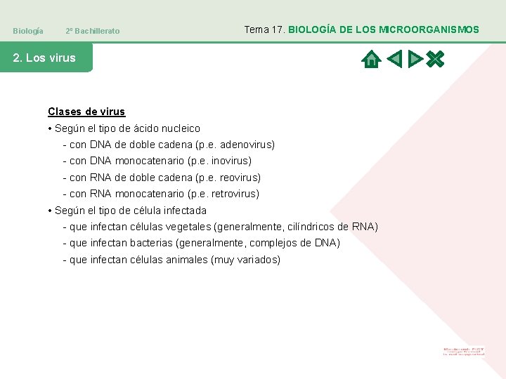 Biología 2º Bachillerato Tema 17. BIOLOGÍA DE LOS MICROORGANISMOS 2. Los virus Clases de