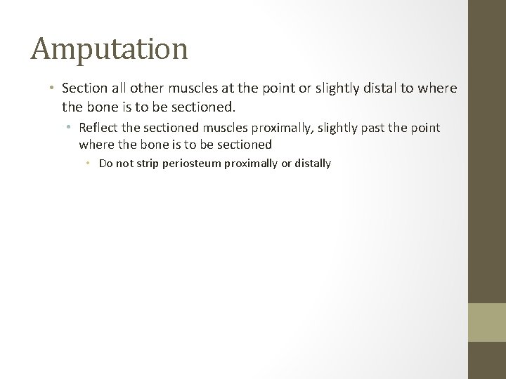 Amputation • Section all other muscles at the point or slightly distal to where