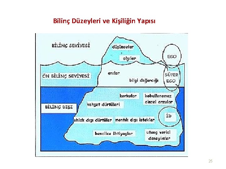 Bilinç Düzeyleri ve Kişiliğin Yapısı 25 