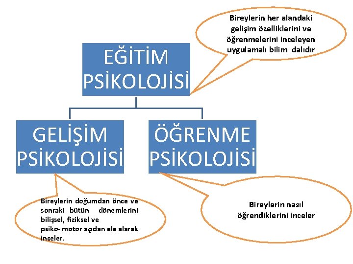 EĞİTİM PSİKOLOJİSİ GELİŞİM PSİKOLOJİSİ Bireylerin doğumdan önce ve sonraki bütün dönemlerini bilişsel, fiziksel ve