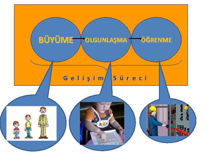 BÜYÜME OLGUNLAŞMA ÖĞRENME G e l i ş i m S ü r e