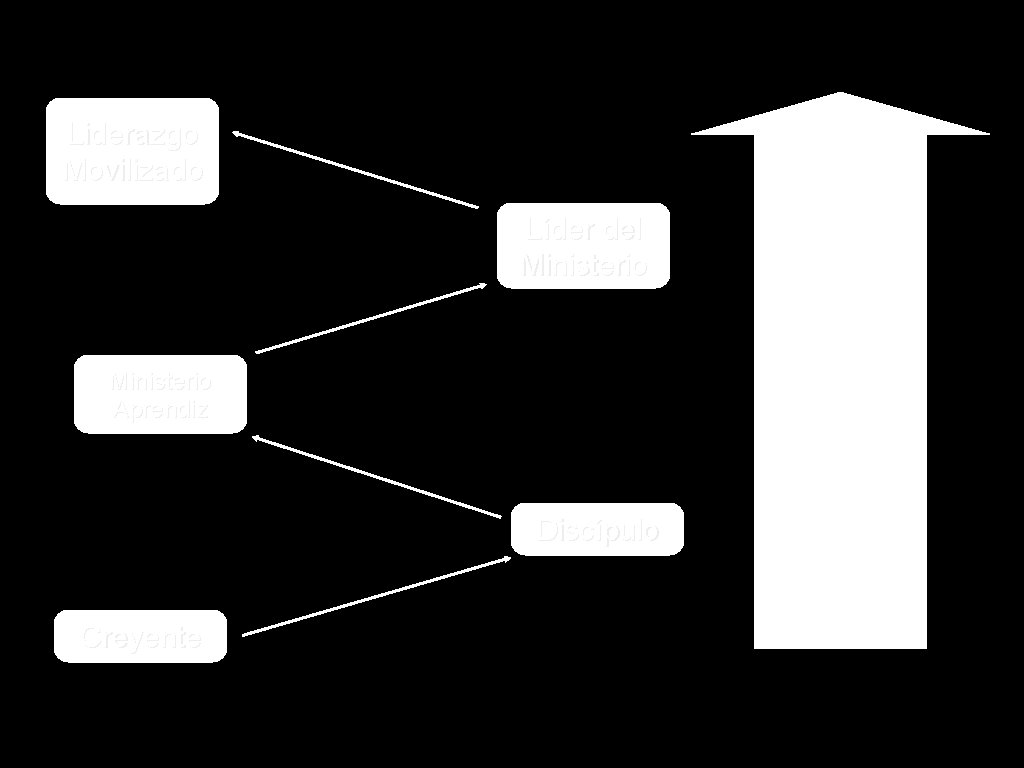 Líder del Ministerio Aprendiz Discípulo Creyente Proceso de formación espiritual Liderazgo Movilizado 