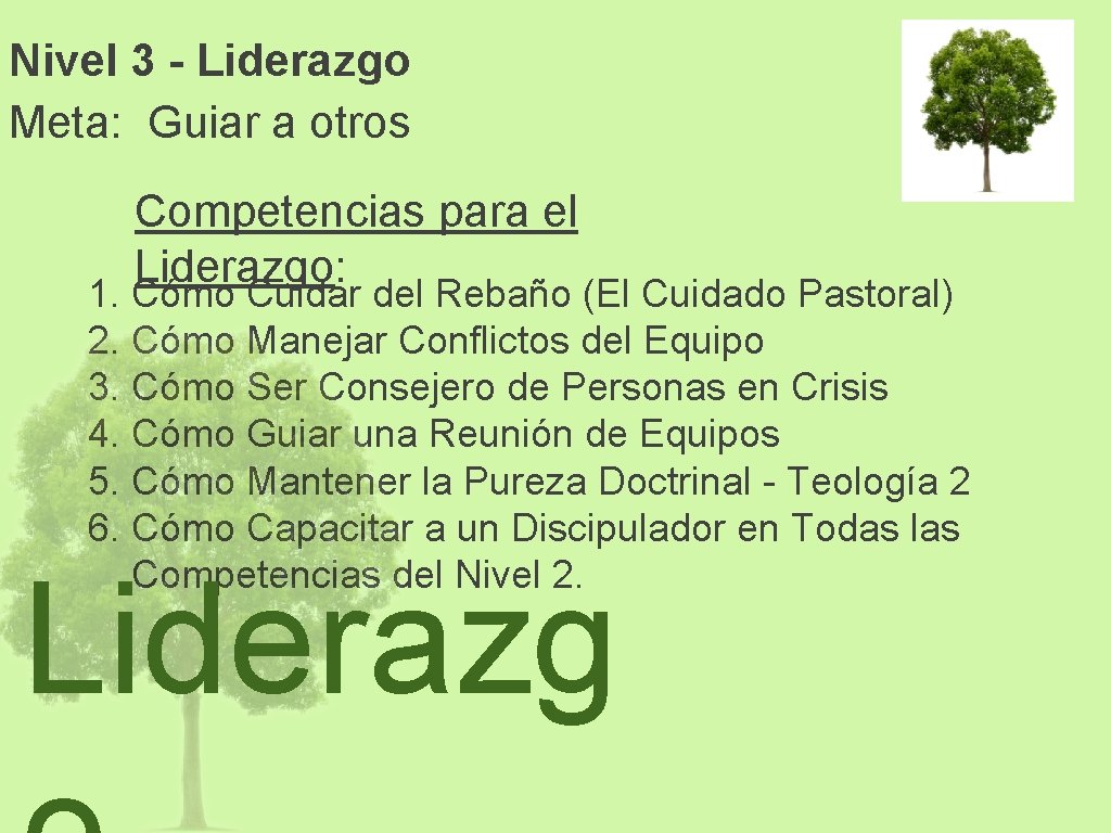 Nivel 3 - Liderazgo Meta: Guiar a otros Competencias para el Liderazgo: 1. Cómo