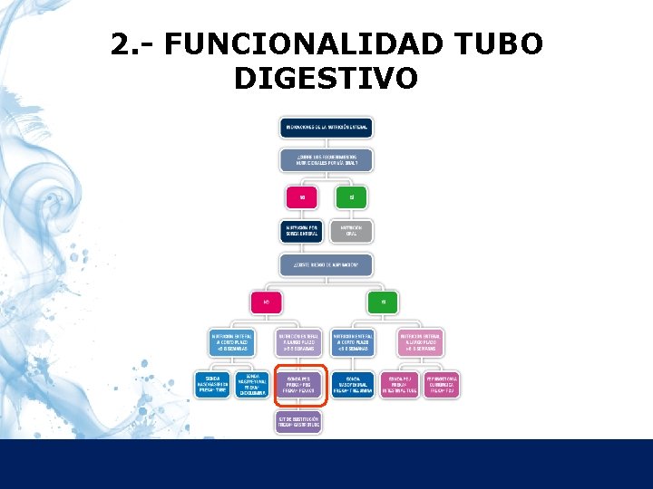 2. - FUNCIONALIDAD TUBO DIGESTIVO 