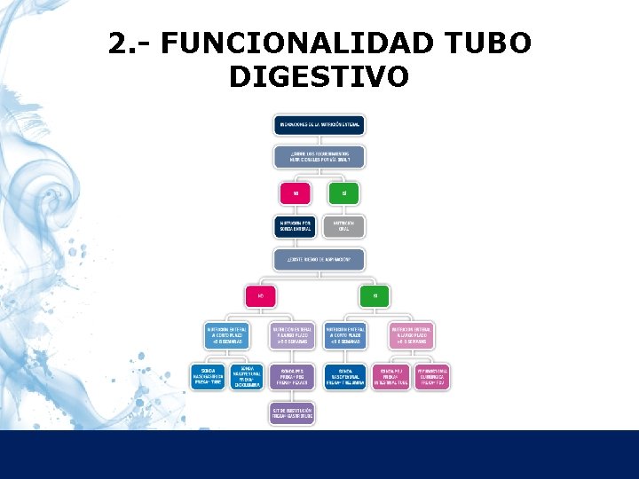 2. - FUNCIONALIDAD TUBO DIGESTIVO 