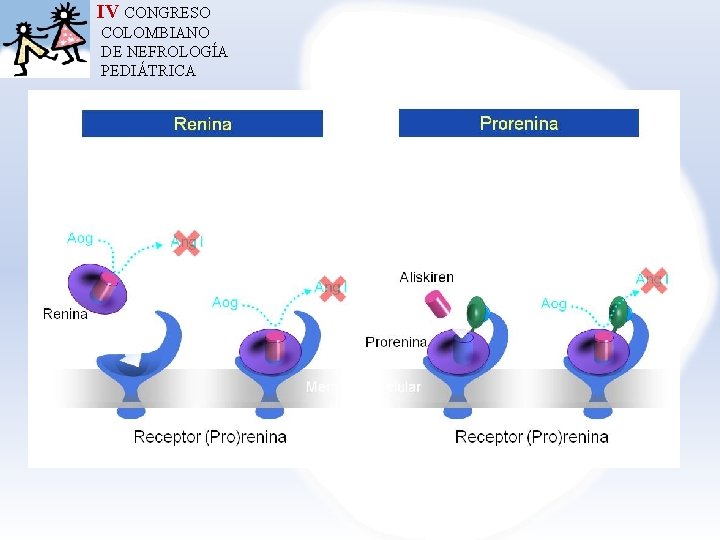 IV CONGRESO COLOMBIANO DE NEFROLOGÍA PEDIÁTRICA 