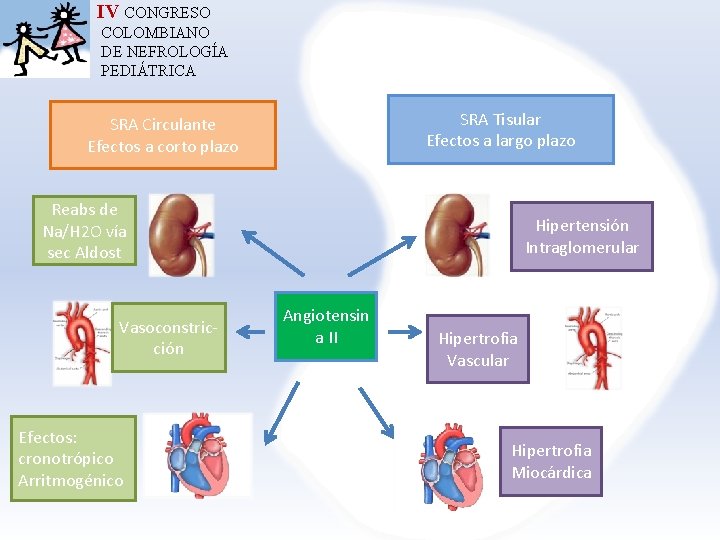 IV CONGRESO COLOMBIANO DE NEFROLOGÍA PEDIÁTRICA SRA Tisular Efectos a largo plazo SRA Circulante