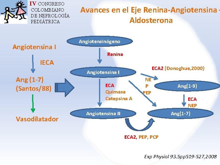 IV CONGRESO COLOMBIANO DE NEFROLOGÍA PEDIÁTRICA Angiotensina I Avances en el Eje Renina-Angiotensina –