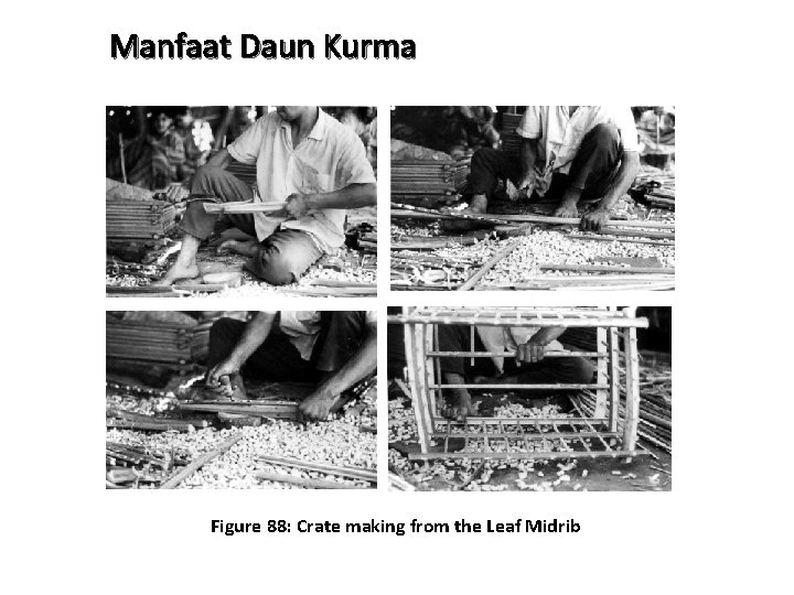Manfaat Daun Kurma Figure 88: Crate making from the Leaf Midrib 