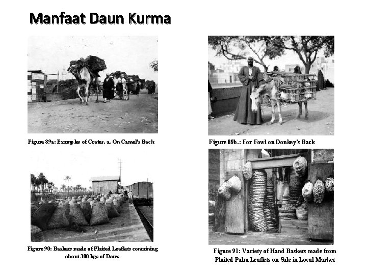 Manfaat Daun Kurma Figure 89 a: Examples of Crates. a. On Camel's Back Figure