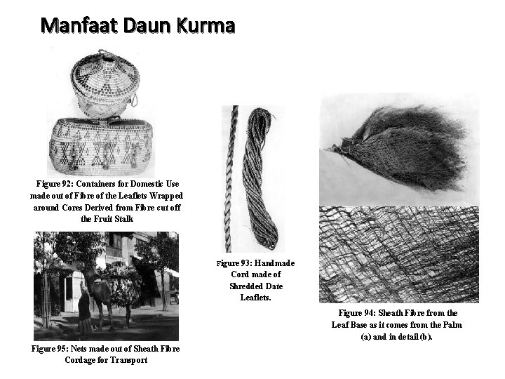 Manfaat Daun Kurma Figure 92: Containers for Domestic Use made out of Fibre of