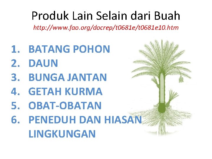 Produk Lain Selain dari Buah http: //www. fao. org/docrep/t 0681 e 10. htm 1.