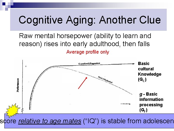 Cognitive Aging: Another Clue Raw mental horsepower (ability to learn and reason) rises into