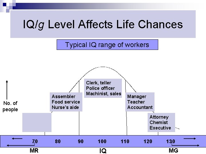 IQ/g Level Affects Life Chances Typical IQ range of workers Assembler Food service Nurse’s