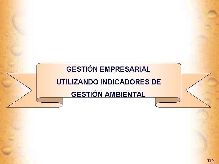 GESTIÓN EMPRESARIAL UTILIZANDO INDICADORES DE GESTIÓN AMBIENTAL T 12 