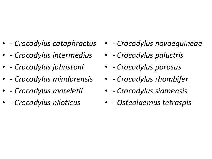  • • • - Crocodylus cataphractus - Crocodylus intermedius - Crocodylus johnstoni -