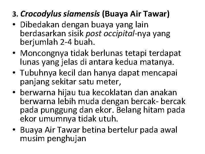 3. Crocodylus siamensis (Buaya Air Tawar) • Dibedakan dengan buaya yang lain berdasarkan sisik