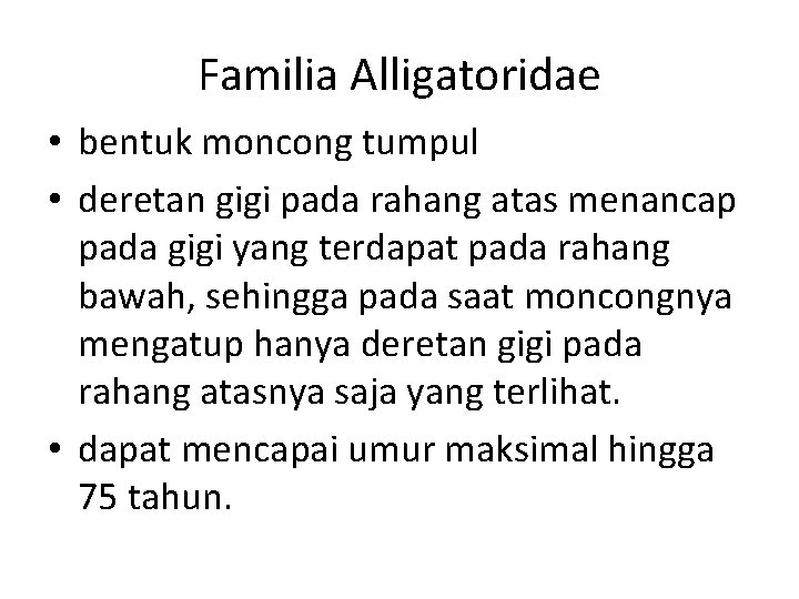 Familia Alligatoridae • bentuk moncong tumpul • deretan gigi pada rahang atas menancap pada