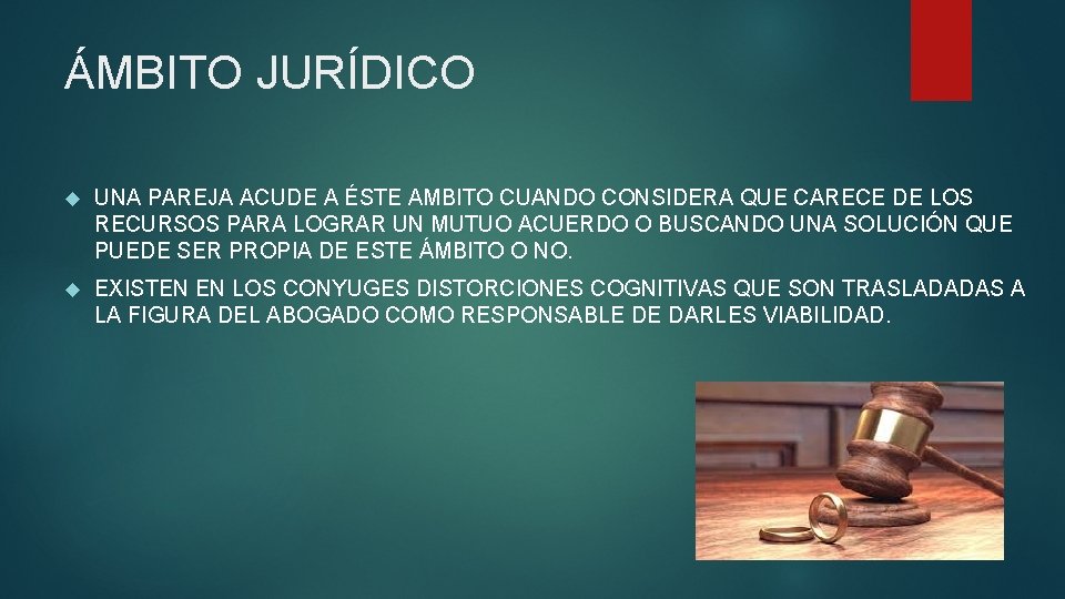 ÁMBITO JURÍDICO UNA PAREJA ACUDE A ÉSTE AMBITO CUANDO CONSIDERA QUE CARECE DE LOS