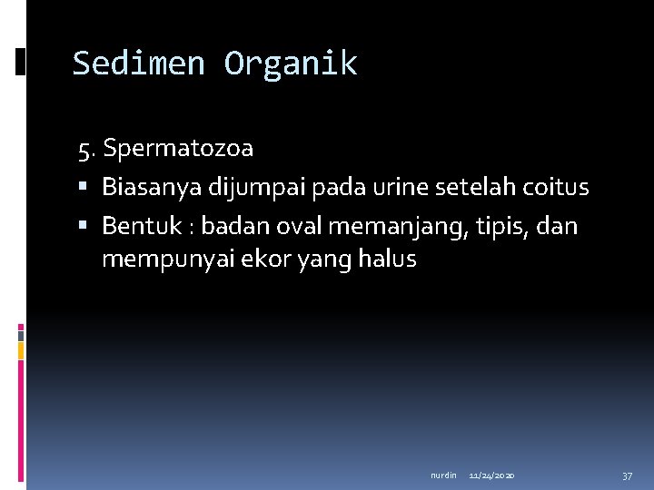 Sedimen Organik 5. Spermatozoa Biasanya dijumpai pada urine setelah coitus Bentuk : badan oval