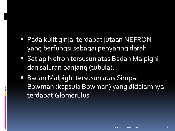  Pada kulit ginjal terdapat jutaan NEFRON yang berfungsi sebagai penyaring darah. Setiap Nefron