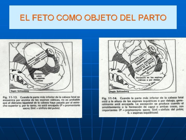 EL FETO COMO OBJETO DEL PARTO 