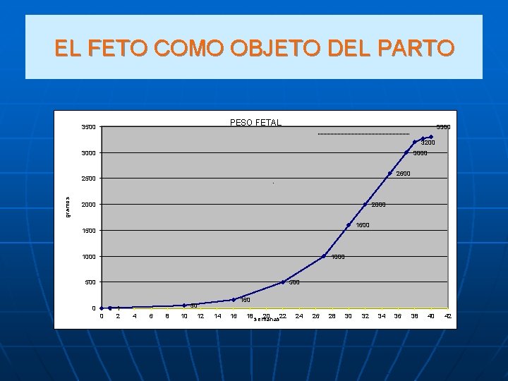 EL FETO COMO OBJETO DEL PARTO PESO FETAL 3500 3300 3200 3000 2600 gramos