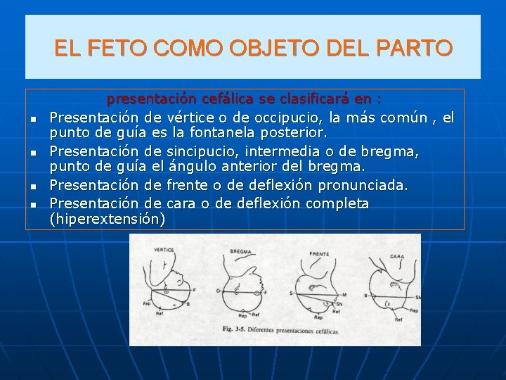 EL FETO COMO OBJETO DEL PARTO n n presentación cefálica se clasificará en :