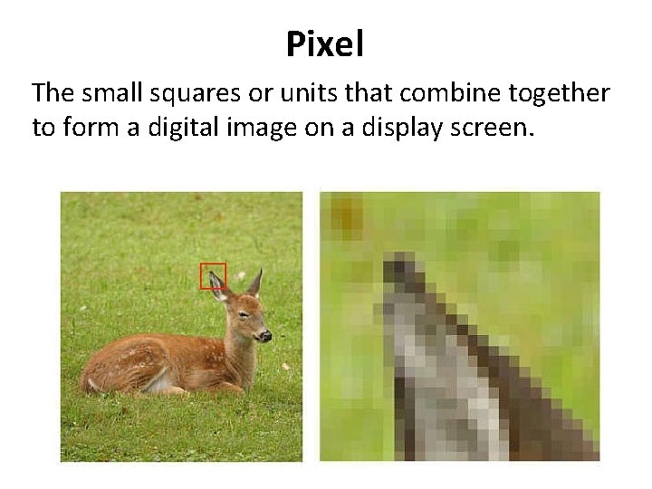 Pixel The small squares or units that combine together to form a digital image