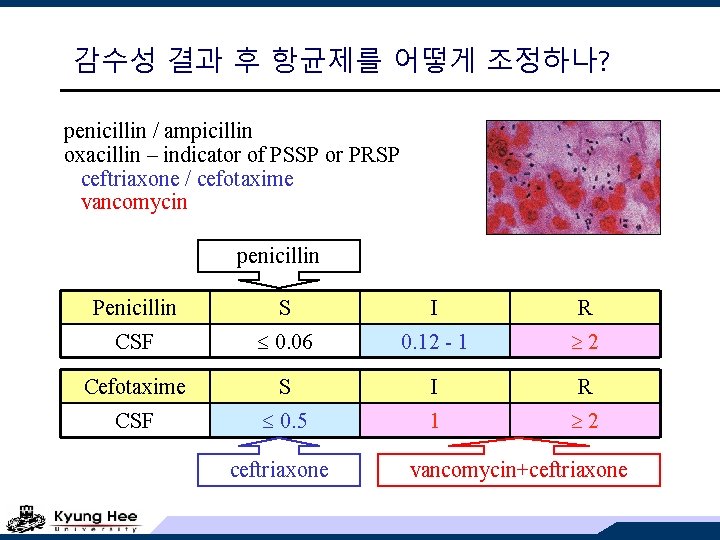 감수성 결과 후 항균제를 어떻게 조정하나? penicillin / ampicillin oxacillin – indicator of PSSP
