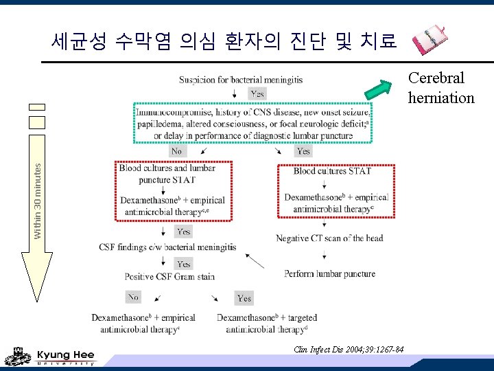 세균성 수막염 의심 환자의 진단 및 치료 Within 30 minutes Cerebral herniation Clin Infect