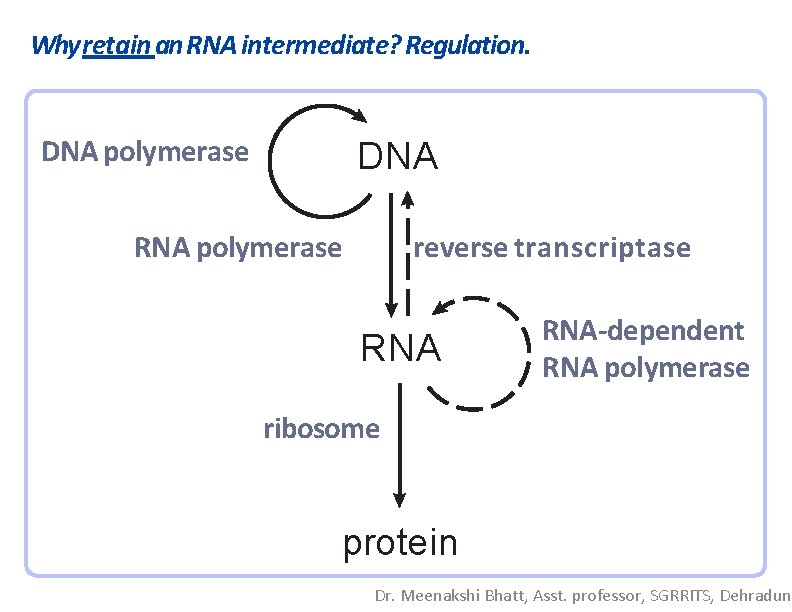 Why retain an RNA intermediate? Regulation. DNA polymerase DNA RNA polymerase reverse transcriptase RNA-dependent