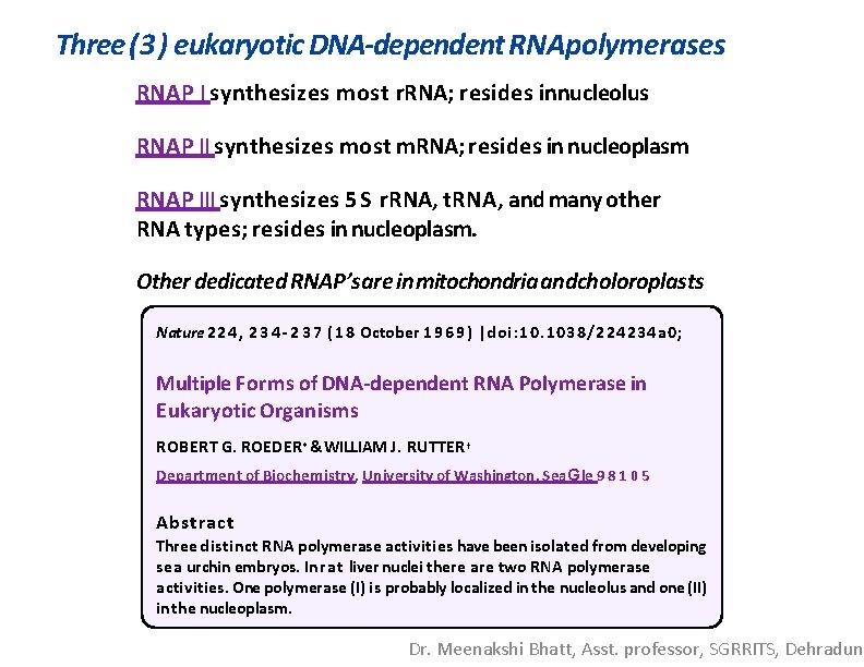 Three (3) eukaryotic DNA-dependent RNApolymerases RNAP I synthesizes most r. RNA; resides innucleolus RNAP