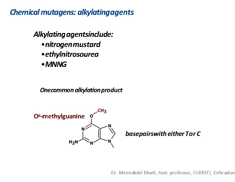 Chemical mutagens: alkylating agents Alkylating agentsinclude: • nitrogen mustard • ethylnitrosourea • MNNG Onecommon