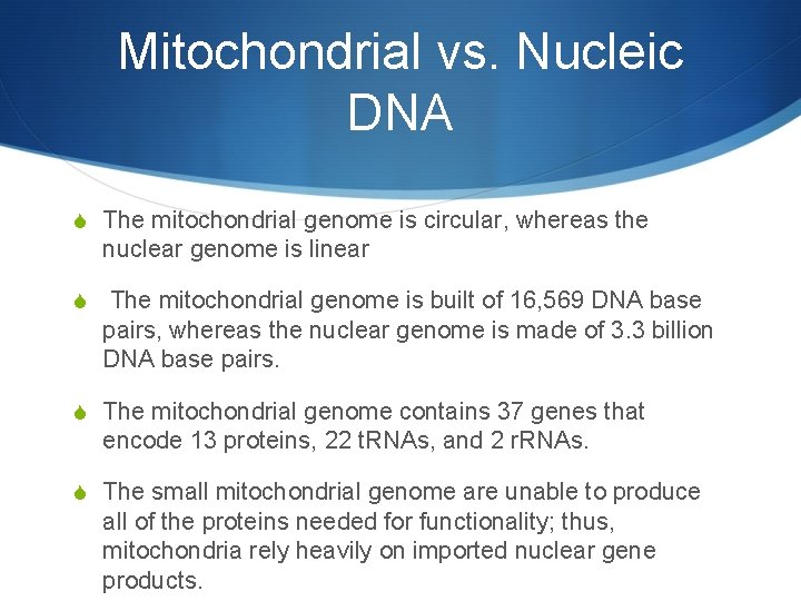 Mitochondrial vs. Nucleic DNA S The mitochondrial genome is circular, whereas the nuclear genome