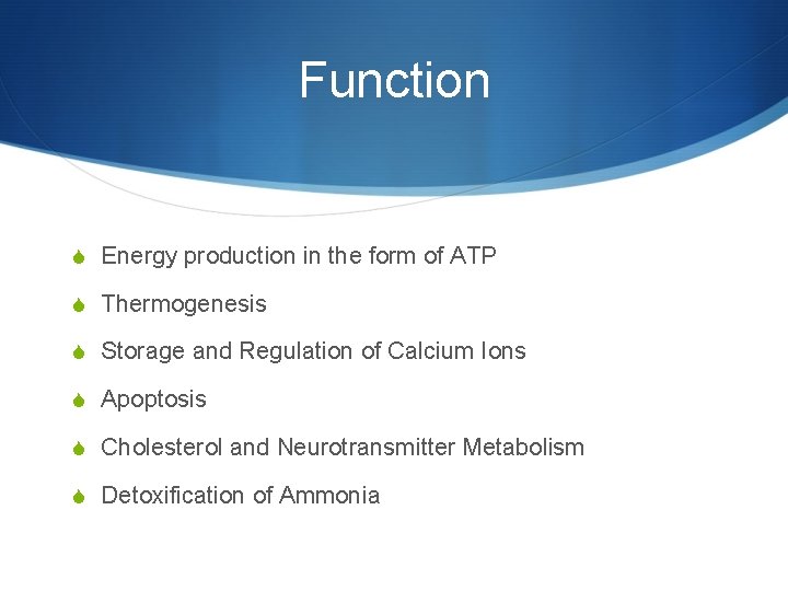 Function S Energy production in the form of ATP S Thermogenesis S Storage and