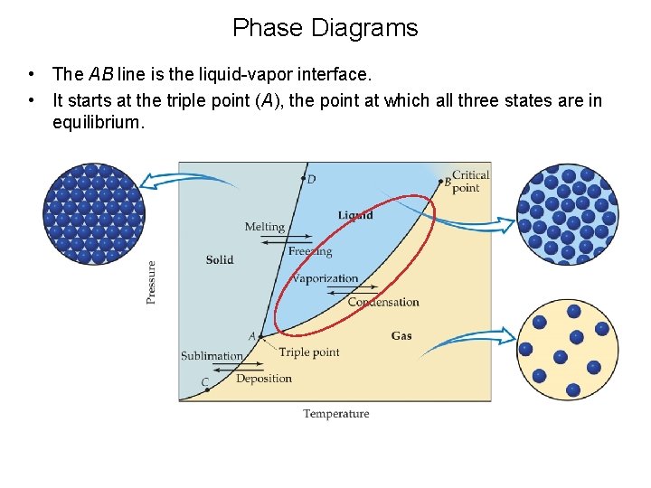 Phase Diagrams • The AB line is the liquid-vapor interface. • It starts at