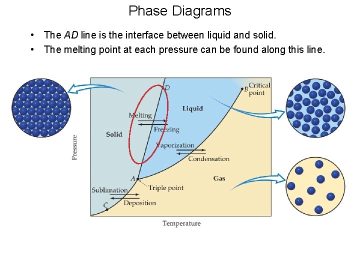 Phase Diagrams • The AD line is the interface between liquid and solid. •