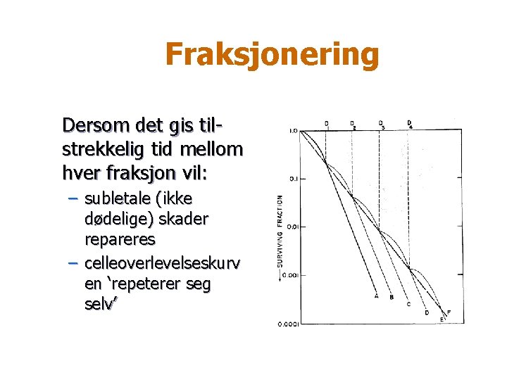 Fraksjonering Dersom det gis tilstrekkelig tid mellom hver fraksjon vil: – subletale (ikke dødelige)