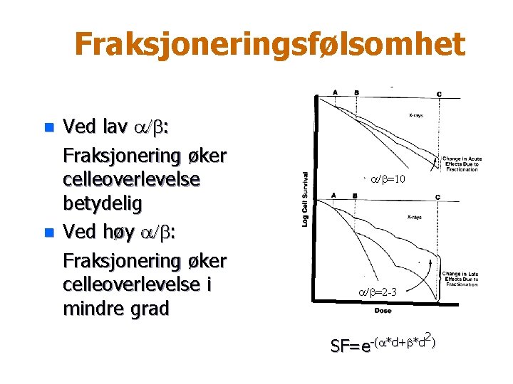 Fraksjoneringsfølsomhet n n Ved lav a/b: Fraksjonering øker celleoverlevelse betydelig Ved høy a/b: Fraksjonering