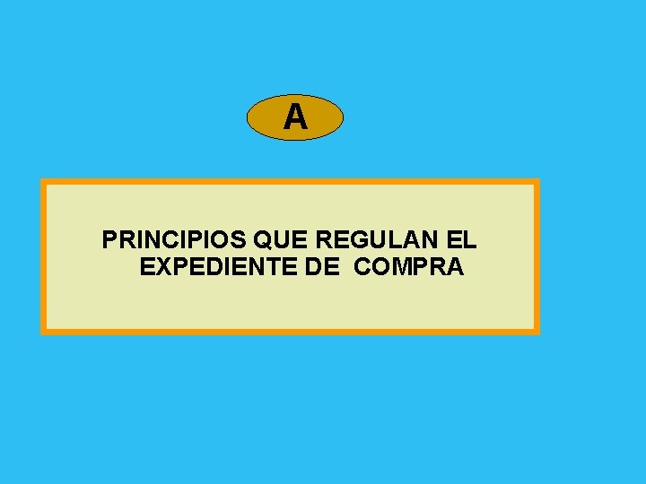 A PRINCIPIOS QUE REGULAN EL EXPEDIENTE DE COMPRA 