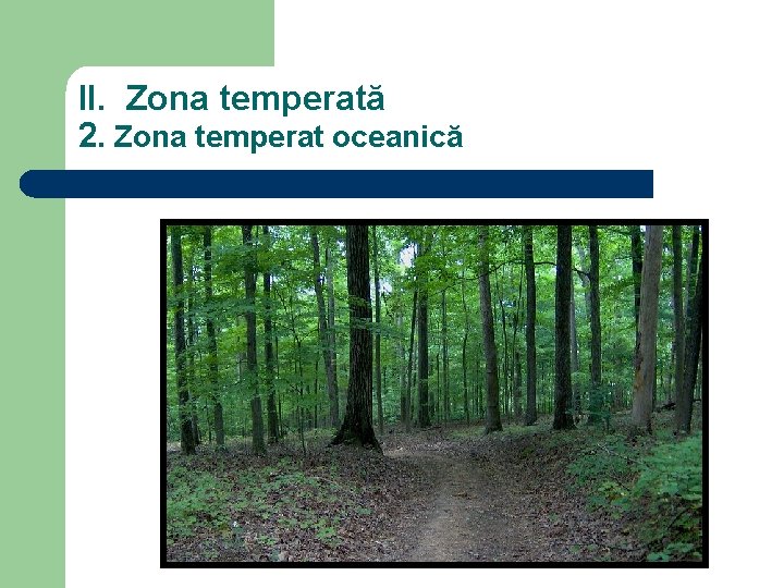 II. Zona temperată 2. Zona temperat oceanică 