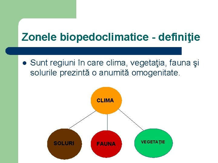 Zonele biopedoclimatice - definiţie l Sunt regiuni în care clima, vegetaţia, fauna şi solurile