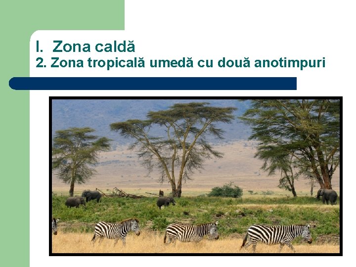 I. Zona caldă 2. Zona tropicală umedă cu două anotimpuri 