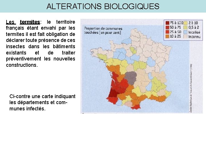 ALTERATIONS BIOLOGIQUES Les termites: le territoire français étant envahi par les termites il est