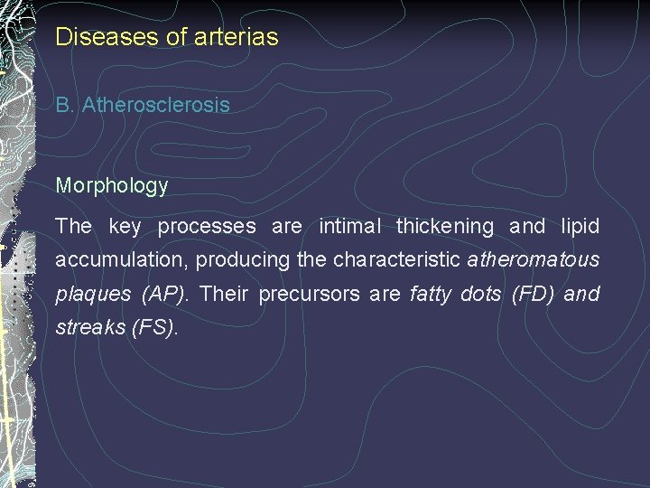 Diseases of arterias B. Atherosclerosis Morphology The key processes are intimal thickening and lipid