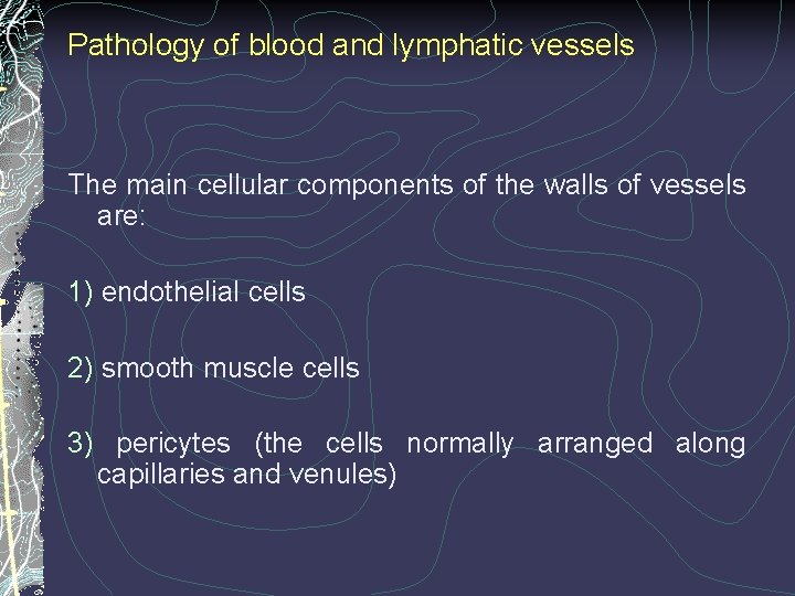 Pathology of blood and lymphatic vessels The main cellular components of the walls of
