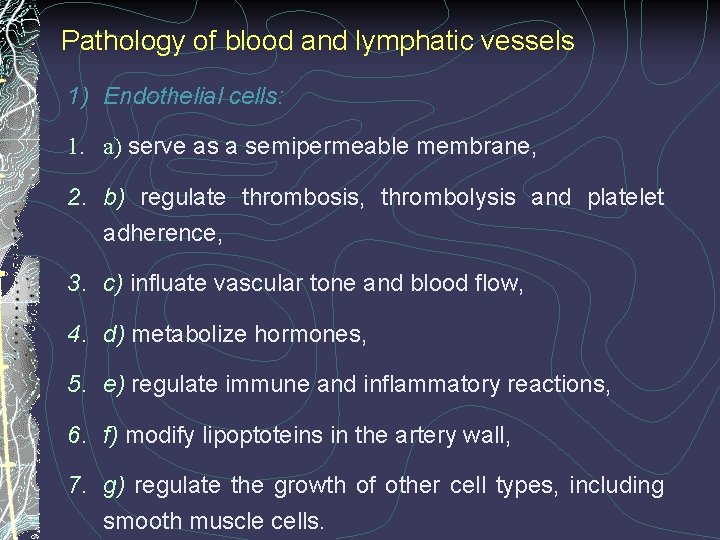 Pathology of blood and lymphatic vessels 1) Endothelial cells: 1. a) serve as a