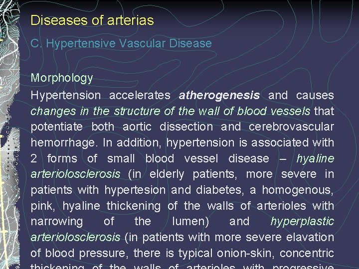 Diseases of arterias C. Hypertensive Vascular Disease Morphology Hypertension accelerates atherogenesis and causes changes